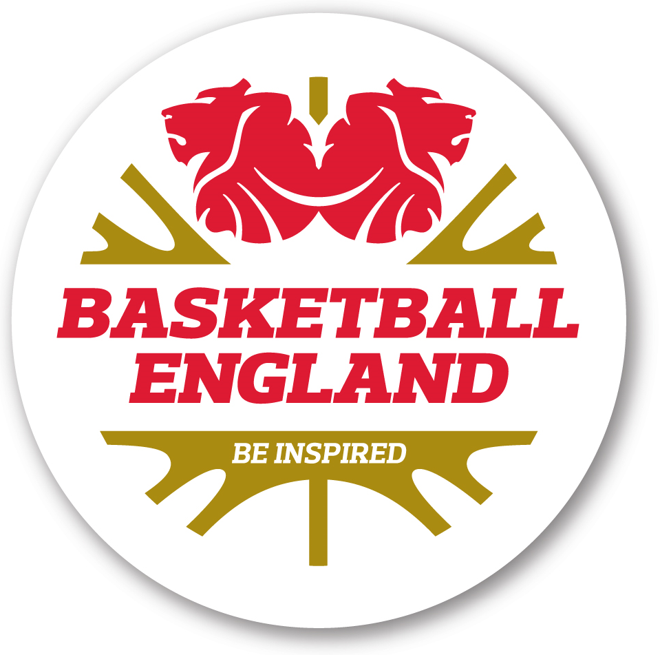 England 2014-Pres Primary Logo iron on transfers for T-shirts